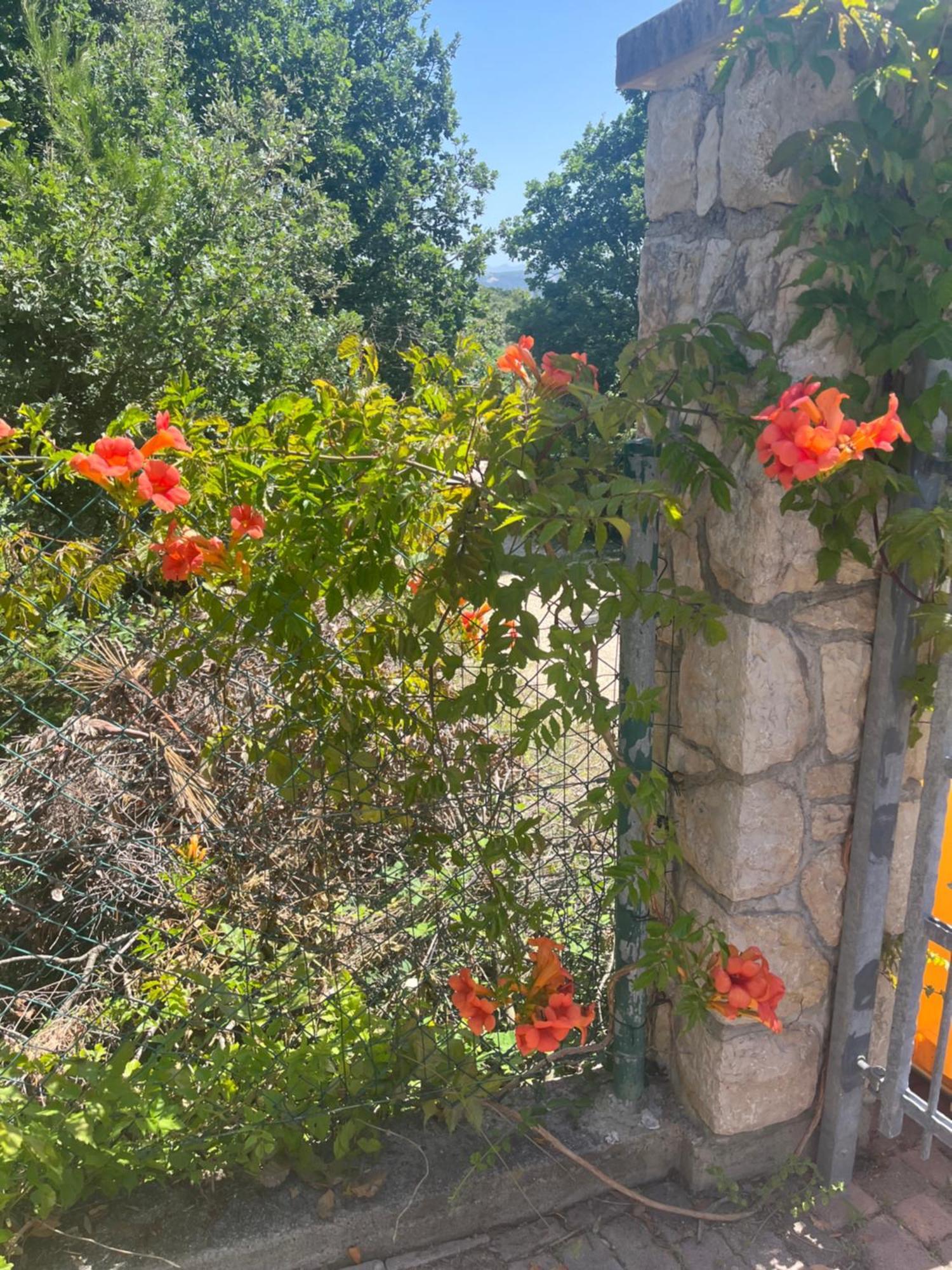 Villa Matovica Kampor Exteriér fotografie