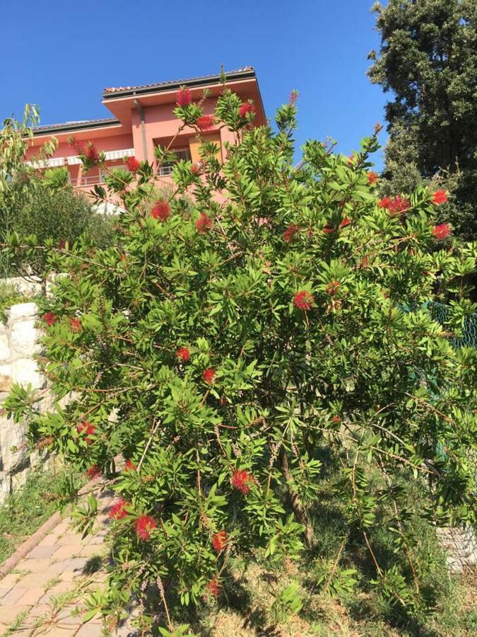 Villa Matovica Kampor Exteriér fotografie
